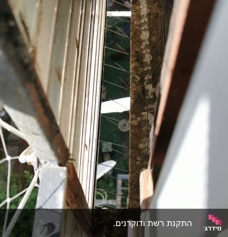 רשת מתכת עם דוקרנים למניעת כניסת יונים